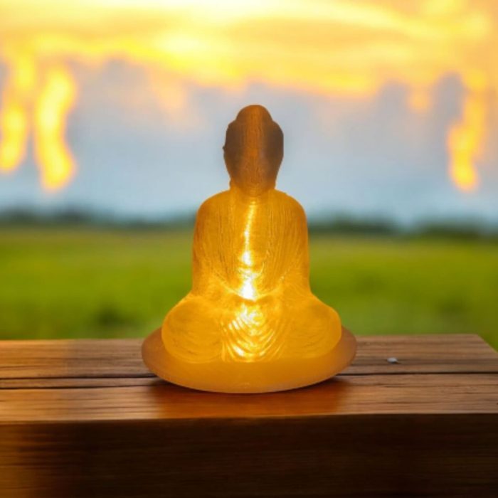 Serene Illuminated Buddha Idol